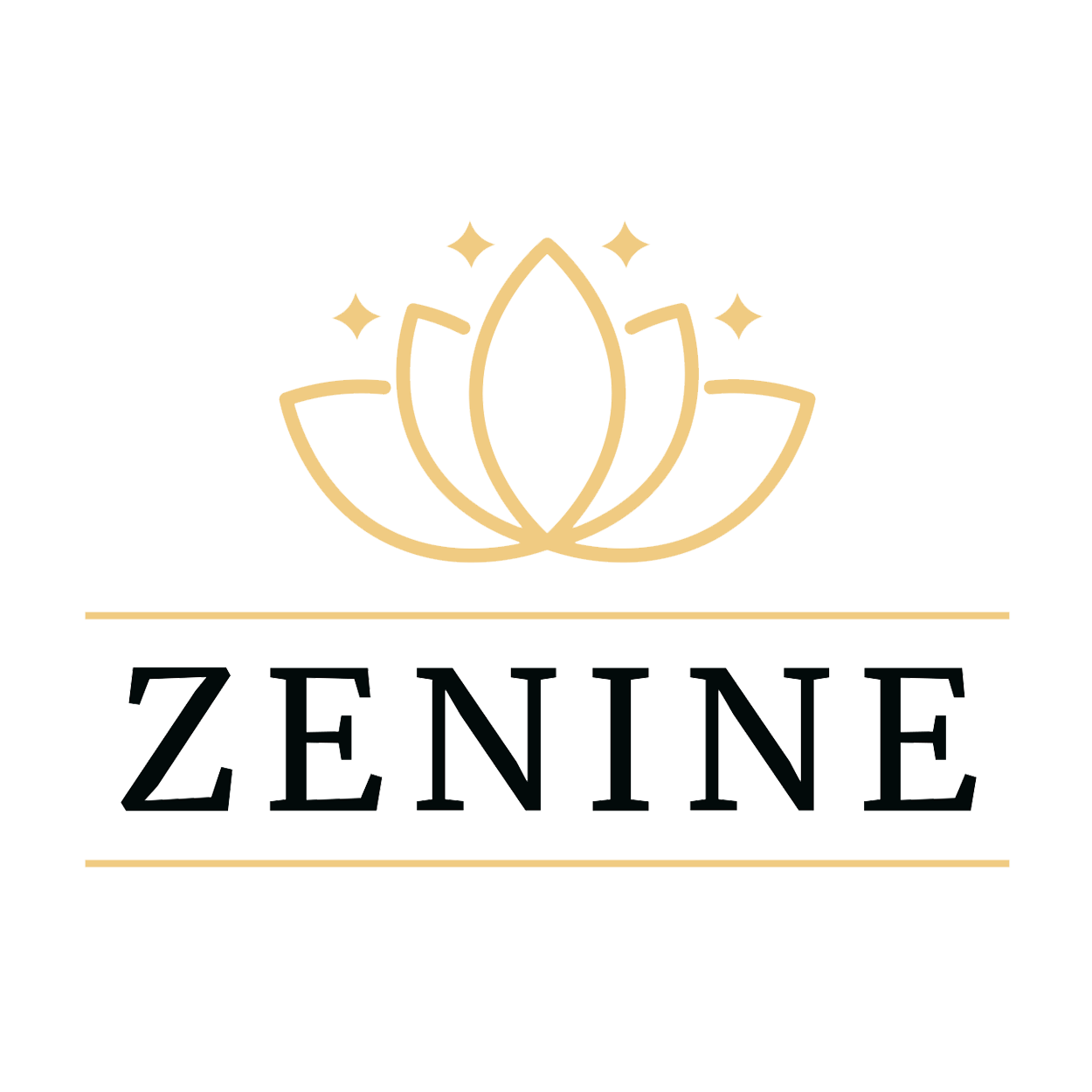 zenine.nl